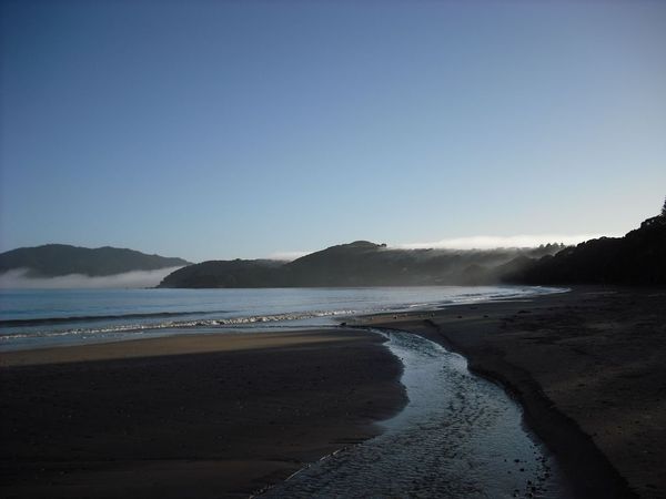 Coopers Beach golden sand and Pohutukawa trees
