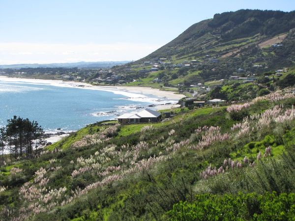 Shipwreck Bay surf waves