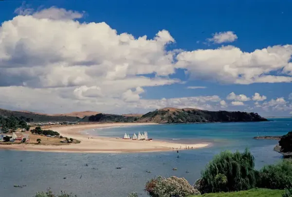 Taipa Beach and Estuary